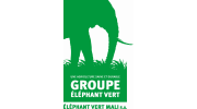 ELEPHANT VERT