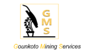 GMS